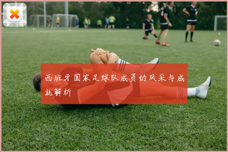 西班牙国家足球队成员的风采与成就解析