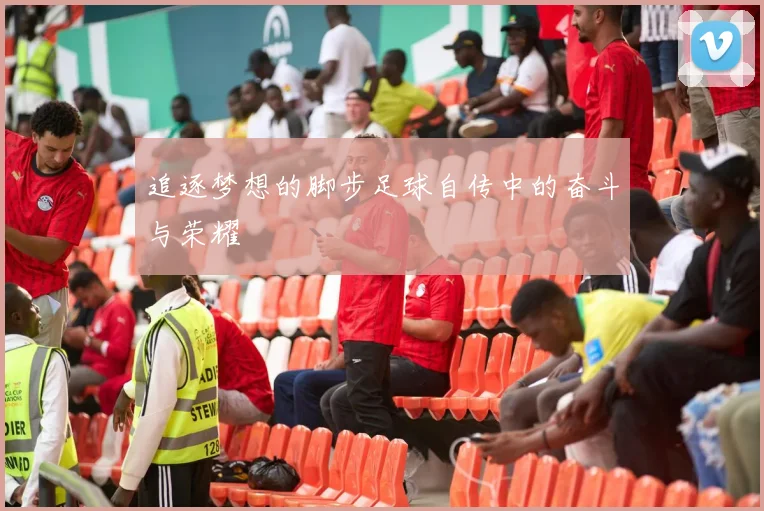 追逐梦想的脚步足球自传中的奋斗与荣耀