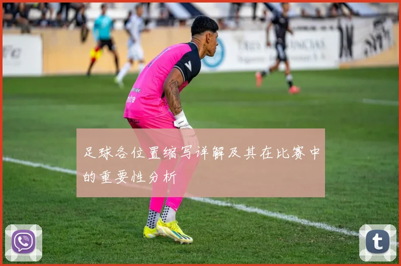 足球各位置缩写详解及其在比赛中的重要性分析