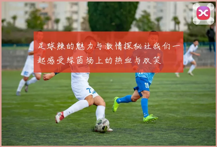 足球辣的魅力与激情探秘让我们一起感受绿茵场上的热血与欢笑
